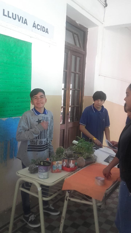 IPET 379